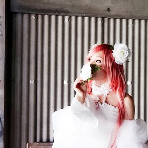 Rating: Safe Score: 0 Tags: 1girl bridal_veil bride curtains dress flower hair_flower hair_ornament kirakishou long_hair pink_hair red_hair rose solo veil wedding_dress white_flower white_rose User: admin