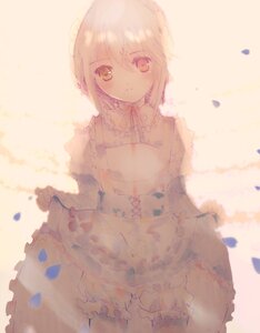 Rating: Safe Score: 0 Tags: 1girl apron bangs blurry blush closed_mouth confetti depth_of_field dress eyebrows_visible_through_hair frills hair_between_eyes hariruri image long_sleeves petals puffy_sleeves smile solo souseiseki standing striped white_legwear User: admin