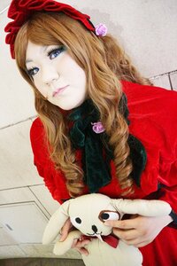 Rating: Safe Score: 0 Tags: 1girl animal blonde_hair blue_eyes dress drill_hair flower lips long_hair rose shinku solo traditional_media User: admin