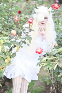 Rating: Safe Score: 0 Tags: 1girl artist_name bangs blurry blurry_background blurry_foreground depth_of_field dress flower fruit kirakishou leaf lips long_hair looking_at_viewer outdoors plant solo standing striped striped_legwear vertical-striped_legwear vertical_stripes white_dress white_hair User: admin