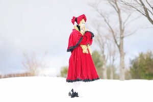 Rating: Safe Score: 0 Tags: 1girl blurry depth_of_field dress red_hair shinku solo tree User: admin