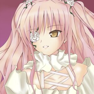 Rating: Safe Score: 0 Tags: 1girl bare_shoulders dress flower image kirakishou long_hair pink_hair smile solo two_side_up ultimate_madoka white_flower yellow_eyes User: admin