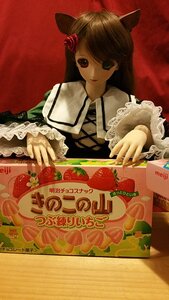 Rating: Safe Score: 0 Tags: 1girl animal_ears brown_hair doll flower food frills hair_flower hair_ornament long_hair long_sleeves smile solo suiseiseki User: admin