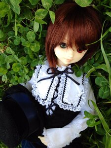 Rating: Safe Score: 0 Tags: 1girl brown_hair doll dress frilled_shirt_collar frills heterochromia leaf lolita_fashion long_sleeves looking_at_viewer neck_ribbon plant red_eyes short_hair solo souseiseki suiseiseki vines User: admin