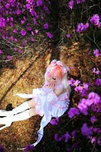 Rating: Safe Score: 0 Tags: 1girl boots closed_eyes dress flower hydrangea kirakishou long_hair lying pink_hair purple_flower solo sunlight thigh_boots thighhighs white_dress white_legwear wisteria User: admin