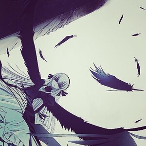 Rating: Safe Score: 0 Tags: 1girl animal bird black_feathers black_wings crow dove dress feathers flock hair_ribbon image long_hair long_sleeves ribbon seagull solo suigintou very_long_hair white_feathers wings User: admin