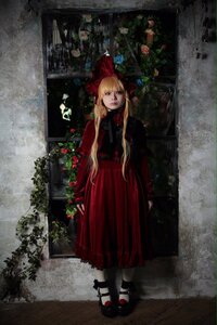 Rating: Safe Score: 0 Tags: 1girl bangs black_footwear blonde_hair bow dress flower full_body hair_bow long_hair looking_at_viewer mary_janes plant rose shinku shoes solo standing white_legwear User: admin