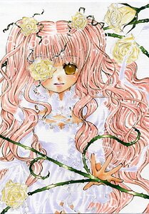 Rating: Safe Score: 0 Tags: 1girl dress flower hair_flower hair_ornament image kirakishou long_hair looking_at_viewer orange_flower pink_hair pink_rose plant rose smile solo thorns vines white_flower white_rose yellow_flower yellow_rose User: admin