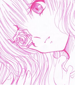 Rating: Safe Score: 0 Tags: 1girl eyelashes flower image kirakishou monochrome pink_rose rose solo User: admin
