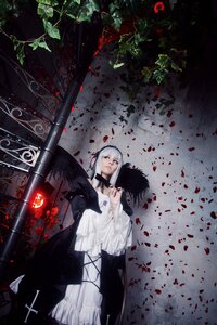 Rating: Safe Score: 0 Tags: 1boy 1girl black_eyes black_hair blood bloody_clothes dress flower frills long_hair long_sleeves solo standing suigintou weapon white_hair User: admin