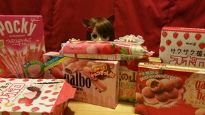 Rating: Safe Score: 0 Tags: 1girl animal_ears brown_hair cat_ears doll food solo suiseiseki User: admin