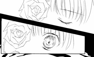 Rating: Safe Score: 0 Tags: 1girl bouquet comic flower greyscale image kirakishou monochrome rose short_hair silent_comic solo white_rose wings User: admin