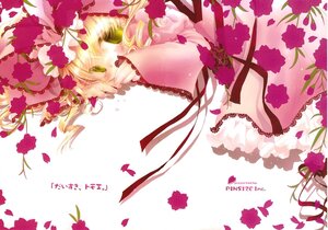 Rating: Safe Score: 0 Tags: 1girl 86800 blonde_hair blush covering_mouth dress flower fruit green_eyes hat hina_ichigo hinaichigo image long_sleeves petals red_flower red_rose rose solo User: admin