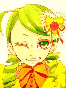 Rating: Safe Score: 0 Tags: 1girl flower green_eyes green_hair hair_ornament image kanaria one_eye_closed ribbon rose smile solo User: admin