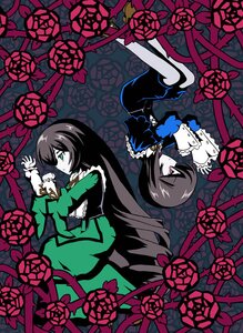 Rating: Safe Score: 0 Tags: 2girls black_hair dress flower frills green_dress green_eyes image long_hair multiple_girls pair pale_skin red_eyes red_flower red_rose rose siblings souseiseki suiseiseki User: admin