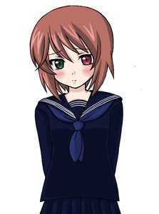 Rating: Safe Score: 0 Tags: 1girl artist_request black_skirt blush brown_hair green_eyes heterochromia image long_sleeves looking_at_viewer lowres pleated_skirt red_eyes rozen_maiden sailor_collar school_uniform serafuku shirt simple_background skirt solo souseiseki striped white_background User: admin