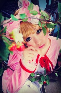 Rating: Safe Score: 0 Tags: 1girl blonde_hair blue_eyes flower hinaichigo lips looking_at_viewer plant smile solo User: admin