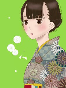 Rating: Safe Score: 0 Tags: 1girl bangs blunt_bangs blush brown_eyes brown_hair floral_print green_background hair_bun human japanese_clothes kiku kimono looking_at_viewer print_kimono solo upper_body User: admin