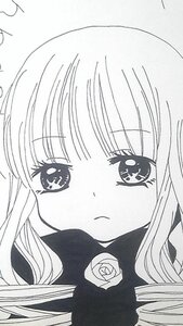 Rating: Safe Score: 0 Tags: 1girl bangs blush closed_mouth eyebrows_visible_through_hair flower image long_hair looking_at_viewer monochrome rose shinku solo traditional_media User: admin
