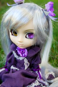Rating: Safe Score: 0 Tags: 1girl barasuishou doll dress flower frills gothic_lolita hair_ornament lolita_fashion long_hair long_sleeves looking_at_viewer purple_dress purple_eyes purple_flower purple_rose rose solo User: admin