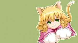 Rating: Safe Score: 0 Tags: 1girl :3 animal_ears blonde_hair cat_ears cat_tail chibi drill_hair green_background green_eyes hina_ichigo hinaichigo image kemonomimi_mode solo tail twin_drills User: admin