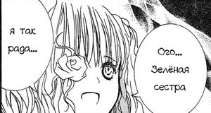 Rating: Safe Score: 0 Tags: 1girl :d blush bridal_veil comic english_text flower greyscale image kirakishou monochrome open_mouth rose smile solo speech_bubble User: admin