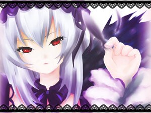 Rating: Safe Score: 0 Tags: 1girl bare_shoulders black_wings detached_collar dress flower image long_hair looking_at_viewer red_eyes solo suigintou wings User: admin