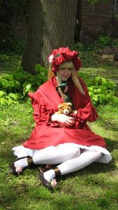 Rating: Safe Score: 0 Tags: animal flower grass shinku sitting solo tree User: admin