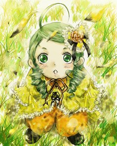 Rating: Safe Score: 0 Tags: 1girl ahoge blush dress drill_hair flower frills grass green_eyes green_hair image kanaria ribbon rose short_hair solo yellow_flower User: admin