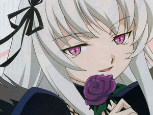 Rating: Safe Score: 3 Tags: 1girl black_ribbon close-up face flower hair_ribbon image long_hair looking_at_viewer pink_eyes pink_flower pink_rose purple_eyes purple_flower purple_rose red_rose ribbon rose silver_hair solo suigintou User: admin