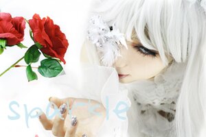 Rating: Safe Score: 0 Tags: 1girl blurry eyelashes flower kirakishou lips red_flower solo white_hair User: admin