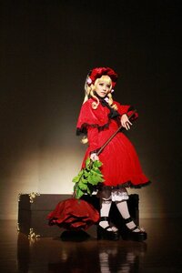 Rating: Safe Score: 0 Tags: 1girl black_footwear blonde_hair bow dress flower long_sleeves mary_janes red_dress shinku shoes solo standing User: admin