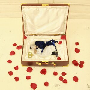 Rating: Safe Score: 0 Tags: 1girl belarus_(hetalia) blonde_hair flower lying on_side petals rose rose_petals solo suigintou white_hair User: admin