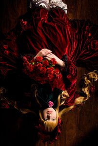 Rating: Safe Score: 0 Tags: 1girl blonde_hair blue_eyes bouquet dress flower lips long_hair looking_at_viewer red_dress red_flower rose shinku solo User: admin