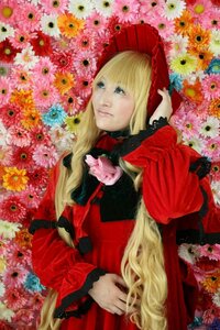 Rating: Safe Score: 0 Tags: 1girl blonde_hair blue_eyes bonnet dress flower long_hair long_sleeves lying red_dress shinku solo sunflower very_long_hair yellow_flower User: admin