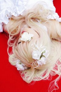 Rating: Safe Score: 0 Tags: 1girl bangs blonde_hair flower green_eyes hair_flower kirakishou portrait red_background simple_background solo upper_body white_flower white_hair white_rose User: admin