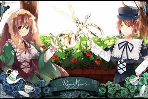 Rating: Safe Score: 0 Tags: 2girls blue_rose brown_hair dress flower frills green_dress green_eyes hat heterochromia image letterboxed lolita_fashion long_hair long_sleeves multiple_girls pair red_eyes red_flower rose scissors short_hair siblings sisters smile souseiseki suiseiseki top_hat twins twintails very_long_hair watering_can User: admin