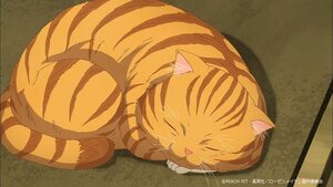 Rating: Safe Score: 0 Tags: animal artist_name cat closed_eyes full_body halloween jack-o'-lantern no_humans pumpkin sleeping solo watermark web_address User: admin