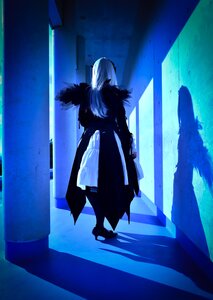 Rating: Safe Score: 0 Tags: animal_ears coat full_body fur_trim holding long_hair shadow solo standing suigintou weapon User: admin