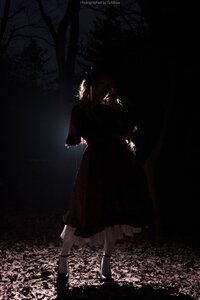 Rating: Safe Score: 0 Tags: 1girl dark shinku solo standing User: admin