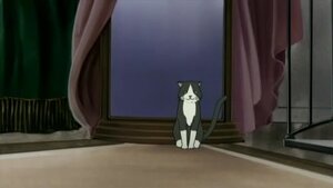 Rating: Safe Score: 0 Tags: animal bed cat curtains indoors night no_humans window User: admin