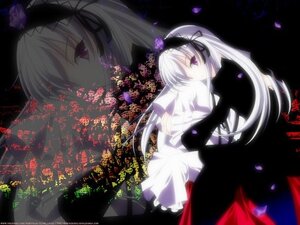 Rating: Safe Score: 0 Tags: 1girl black_wings dress flower frills hairband image long_hair long_sleeves looking_at_viewer petals purple_eyes ribbon silver_hair solo suigintou very_long_hair wings User: admin