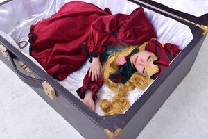 Rating: Safe Score: 0 Tags: 1girl blonde_hair closed_eyes dress flower long_hair long_sleeves lying red_dress rose shinku solo User: admin