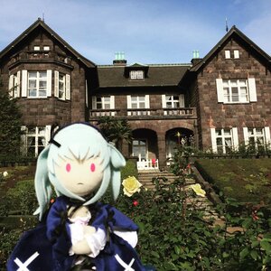 Rating: Safe Score: 0 Tags: 1girl building doll dress flower plant red_eyes rose sky solo suigintou white_hair User: admin