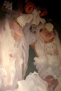 Rating: Safe Score: 0 Tags: 1girl closed_mouth dress flower kirakishou lips long_hair rose solo upper_body veil white_flower white_hair User: admin