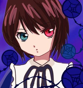 Rating: Safe Score: 0 Tags: 1girl blue_flower blue_rose brown_hair flower hariruri image looking_at_viewer portrait rose short_hair solo souseiseki thorns User: admin