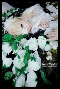Rating: Safe Score: 0 Tags: 1girl auto_tagged blonde_hair blue_eyes flower hair_over_one_eye kirakishou leaf letterboxed lips long_hair plant solo upper_body white_flower white_rose User: admin