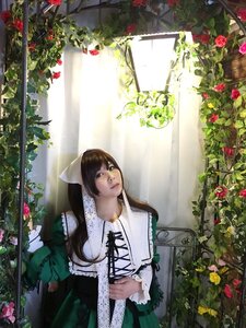 Rating: Safe Score: 0 Tags: 1girl brown_hair dress flower garden lips long_hair plant red_flower red_rose rose solo suiseiseki sunlight tulip vines window User: admin