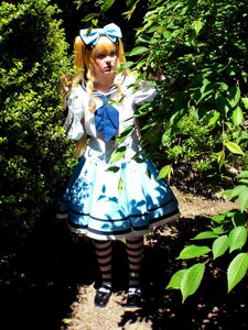Rating: Safe Score: 0 Tags: 1girl blonde_hair blue_neckwear bow dress long_hair mary_janes pantyhose ribbon shinku shoes solo striped striped_legwear tree User: admin