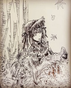 Rating: Safe Score: 0 Tags: 1girl bug butterfly dress hat image insect leaf long_hair maple_leaf monochrome ribbon shinku solo User: admin